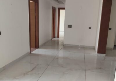 689335863O-1766402435194