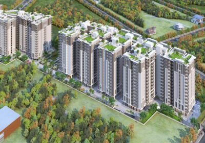 8rszboz_1754378552_628582605_optOrig-2