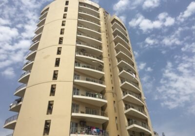 vfbohhb_1764831222_681494687_optOrig