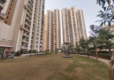 vfbohhb_1764831222_681494687_optOrig-5