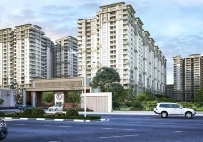 qsjaed8_1750306743_608746205_optOrig-1