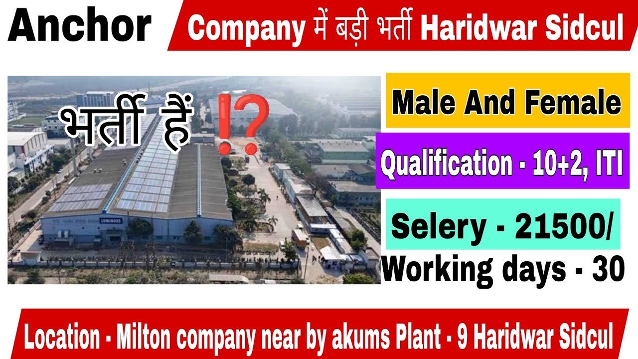 anchor company haridwar vacancy for freshers