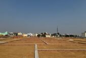DPS Mangalam Enclave Ramnagar, Roorkee