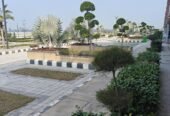 2BHK 2Baths Flat/Apartment for Rent in Emerald Riviera, Gajiwali Haridwar, Haridwar, Uttarakhand