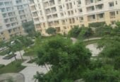 2BHK 2Baths Flat/Apartment for Rent in Arogyam, Patanjali Yogpeeth, Haridwar, Uttarakhand