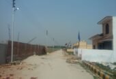 Shree Ved City Patanjali Yogpeeth, Haridwar
