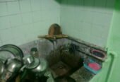 1BHK 1Bath Flat/Apartment for Rent in Mahigran , Opposite Bharat Medicare, Roorkee,