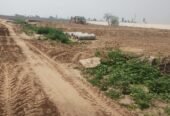 Fortune City Ambala Cantt | Price List & Brochure, Floor
