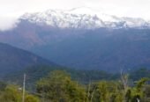 2 BHK Flats in Devagra Mussorie Woods Apartments Sahastradhara Road, Dehradun