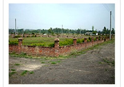 nkhgay1_1728970528_524687733_optOrig-3
