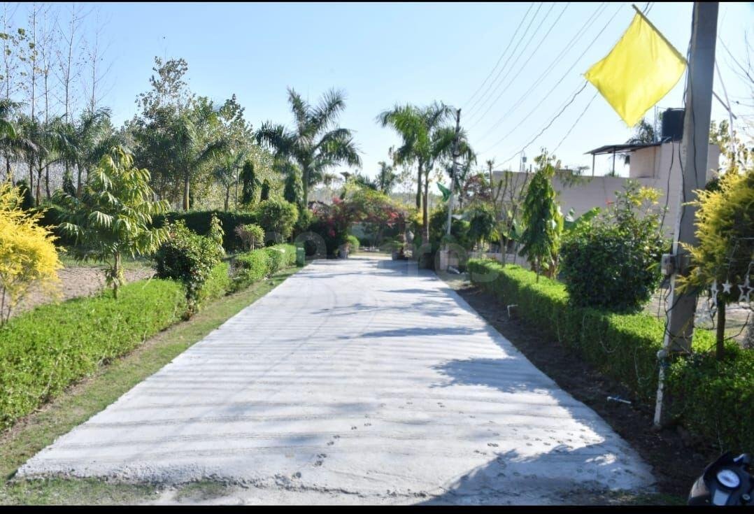 Haridwar Paradise Patanjali Yogpeeth, Haridwar