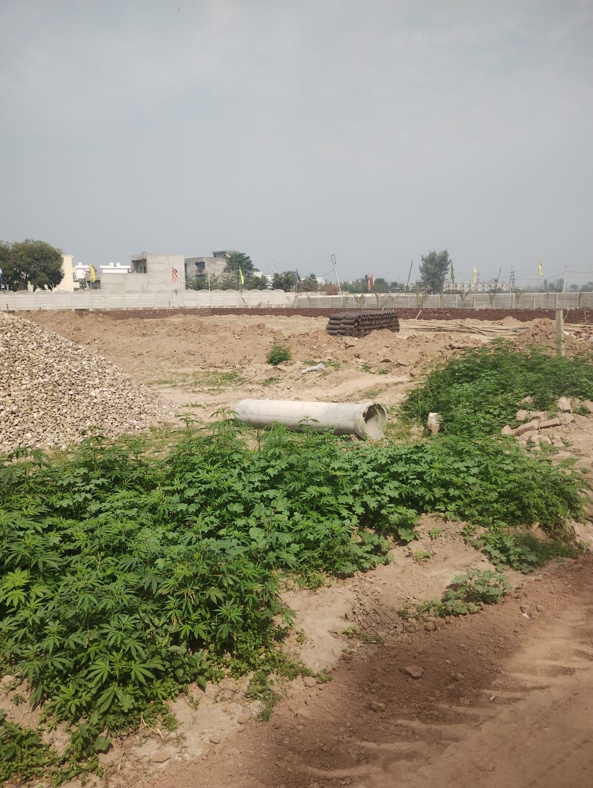 Fortune City Ambala Cantt | Price List & Brochure, Floor