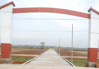 proj_header_image-22417-770×400-14