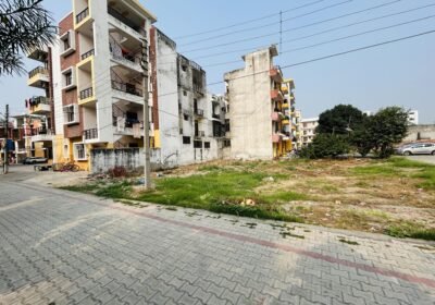proj_header_image-22417-770×400-17