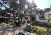 Haridwar Mango Farm House Bahadarabad, Haridwar