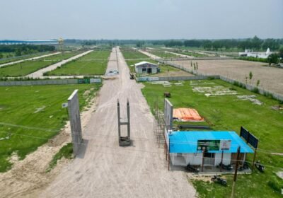 proj_img-22417_1-770×400-25