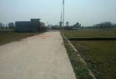 Shree Ved City Patanjali Yogpeeth, Haridwar