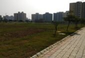 2BHK 2Baths Flat/Apartment for Rent in Ansal Town, Modipuram, Meerut, U P