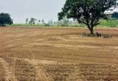 Swastik Kunj Roorkee Dehradun Highway